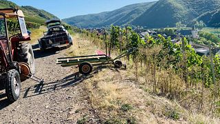 Weingut Weckbecker