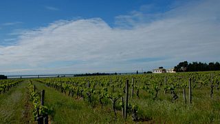 Cata de vinos premium en Domaine De Calet