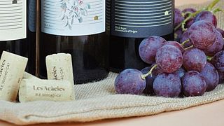 Degustação de vinhos e tour em Les Acacies