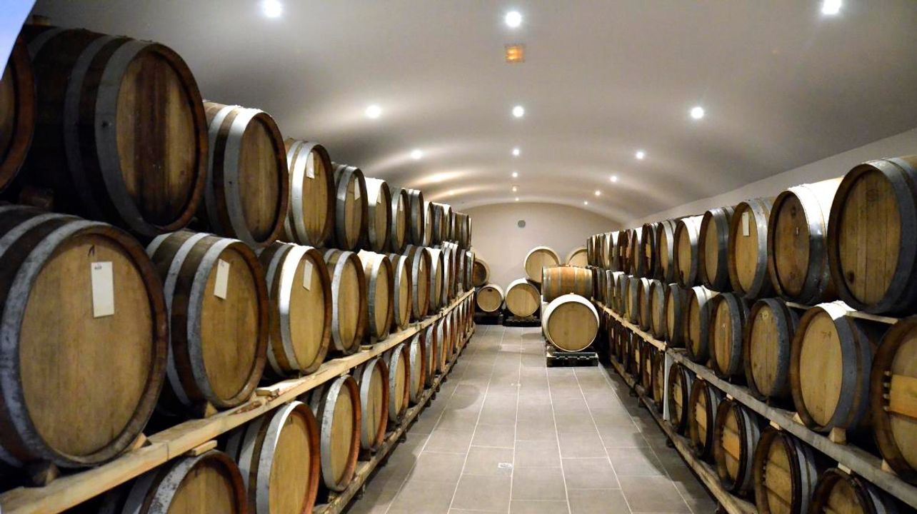 Upptäck vinet! Santorini vinprovning och vingårdstur