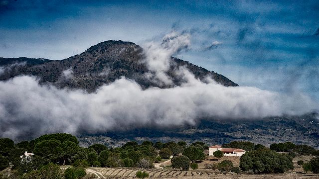 Bodegas Y Viñedos Valleyglesias
