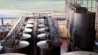 Degustazione e tour presso l'Agricola Ladogana