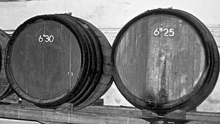Tour del vino e degustazione al Domaine Vial Magneres