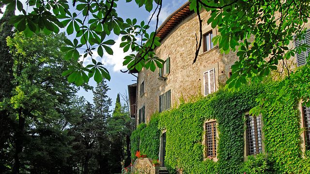 La torre srl socità agricola