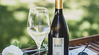 Cata de vinos populares y visita guiada en Cantine Bava
