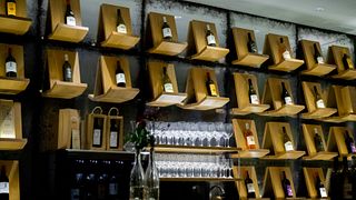 Il linguaggio del vino alla cantina Netofa