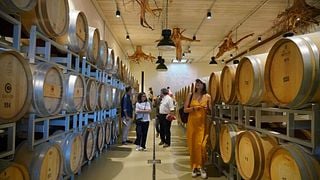Weinprobe und Tour im Tenuta Casadei