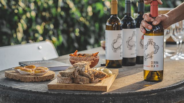 Lisbon Vineyard Tour & Serra Oca Tasting