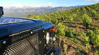 Private Exclusive Manousakis Winery and Vineyard Tour