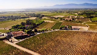Mas Baux Winery