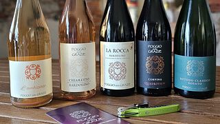 Taste Veneto Corvina Wines on a Vineyard Tour