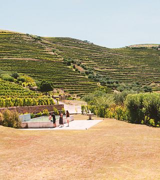 Cata de vinos y tour en Quinta dos Avidagos