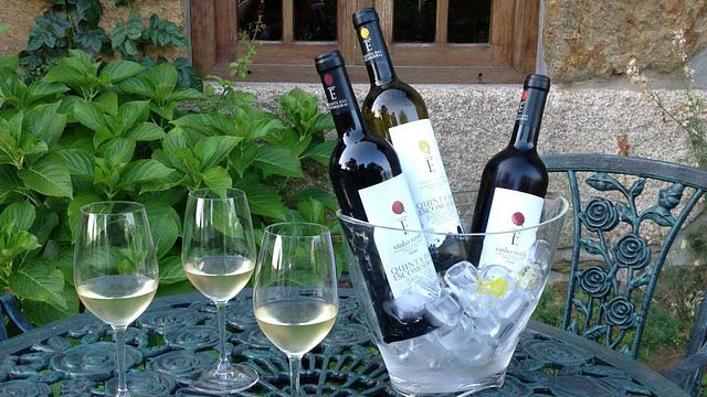Visita e Prova de Vinhos na Quinta Das Escomoeiras