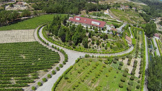 Vinprovning av S. Caetano-viner på Quinta da Torre