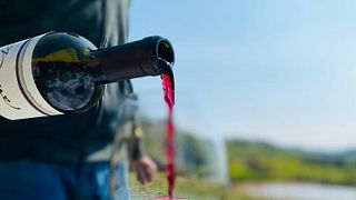 Prova de Vinhos Naturais - Barbera e Timorasso Colli Tortonesi