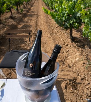 Celler Jovani Vins