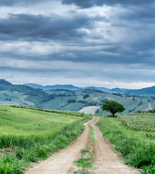 Degustação de vinhos