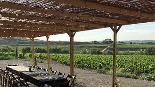 Catalonia Vineyard Journey: Corpinnat Wine Discovery