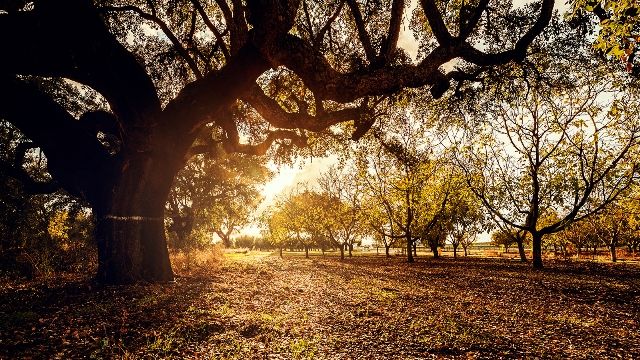 Besuchen Sie das Weingut und verkosten Sie Wein