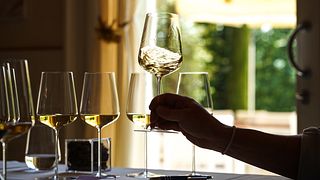 Tour privato 100% esperienza Garganega