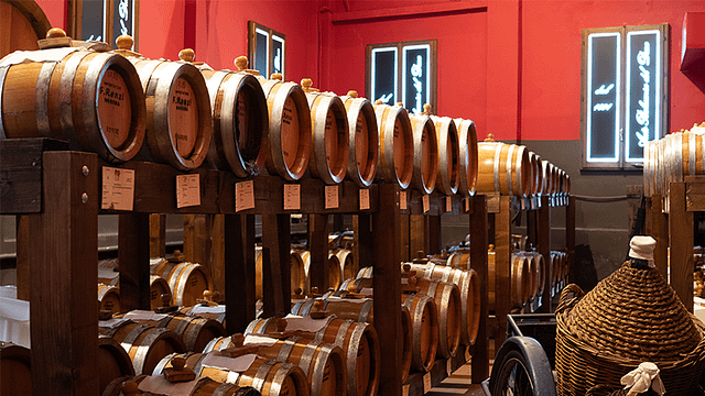 Tour y Degustación de Vinagre Balsámico de Módena en Aceto Balsamico Del Duca
