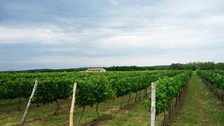 Prisoe Winery