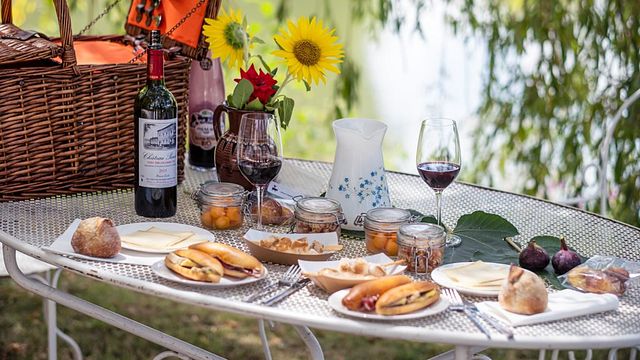 Degustação de vinhos e tour em Vignobles Carles