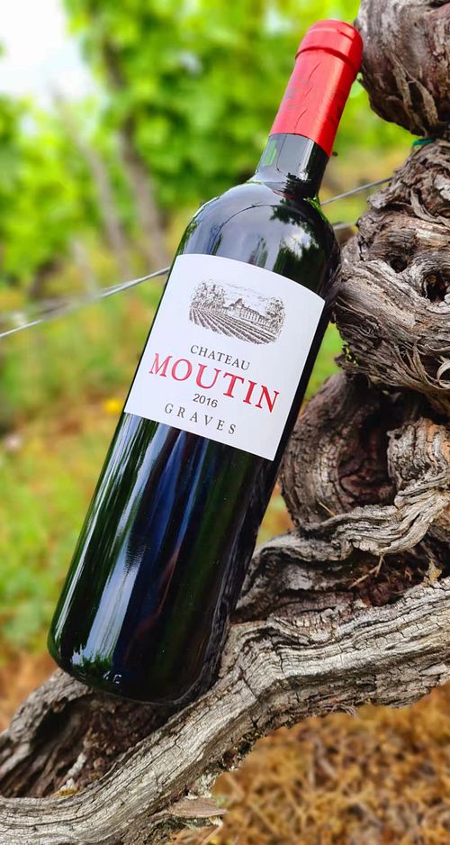 Chateau Moutin - Chateau Dauphiné-Rondillon