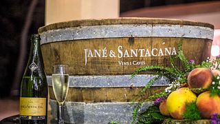 Jané Santacana, S.L.