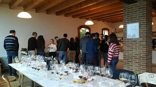 Degustazione e tour di vini a Vignalta