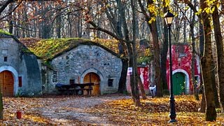 Countryside wine tasting from Budapest