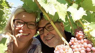 Weingut Sutter