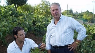 San Martino Colucci Vini