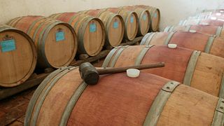 Vinprovning och rundtur på Fattoria Varramista SPA