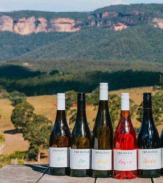 Dégustation de vins et visite du domaine Dryridge