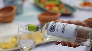 Aconcagua Wine Adventure at Santa Ema