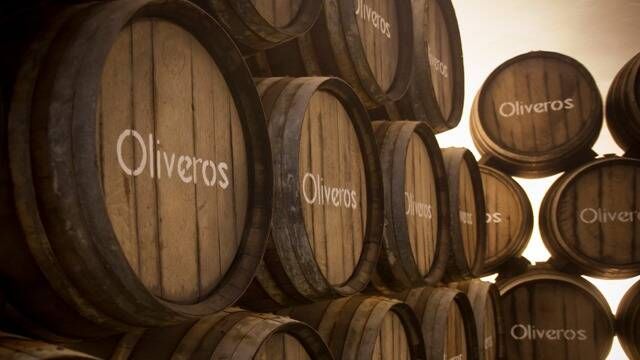 Degustazione di vini e visita alle Bodegas Oliveros