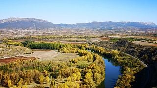 Santalba Winery
