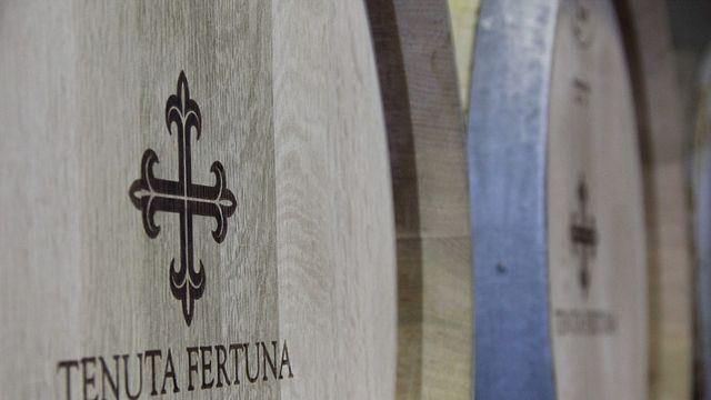 Autour de Fertuna à Tenuta Fertuna