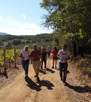 Dégustation de vins et visite à Fradiles