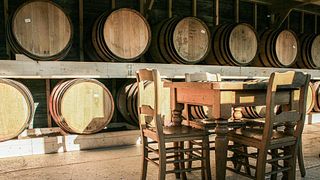Dégustation de vins et visite sur mesure au Wijndomein Helshoven