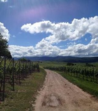 Weinprobe und Führung im Domaine Frédéric Mochel