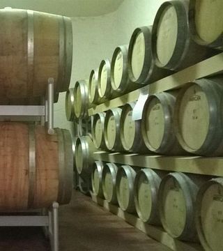 Degustação de vinhos e tour na Terre di San Ginesio srl
