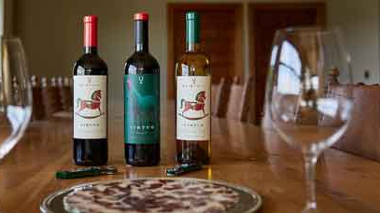 Entdecken Sie das Siegerpferd der Ribera del Duero: Tour und Weinprobe durch die Bodegas Virtus