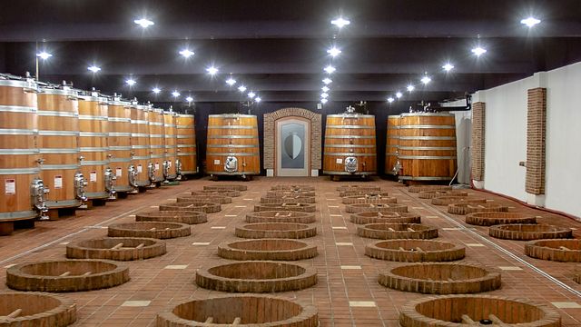 Découvrez MARANI - Visite et dégustation de vins