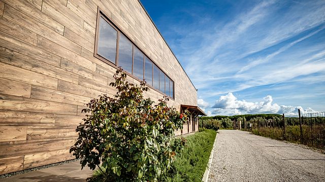 Weinprobe und Tour bei Azienda Agricola Villanoviana