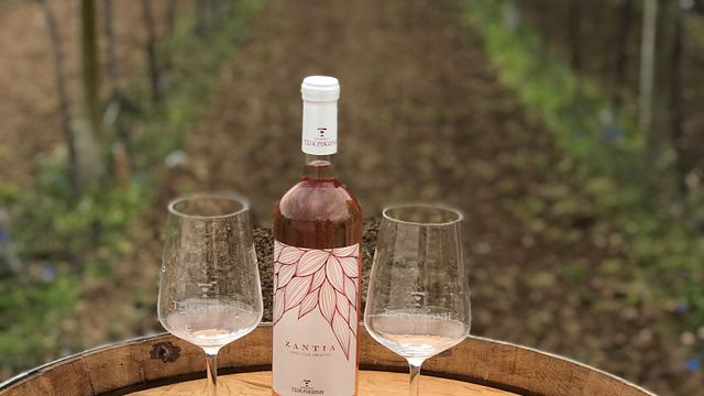 Tour completo del vino e degustazione presso l'azienda vinicola Tsikrikonis