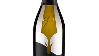 Veneto Vineyard Tour & Wine Tasting at Follador