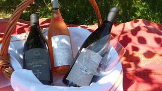 Weinprobe und Führung im Domaine Les Capréoles