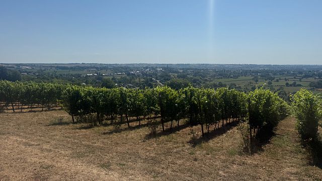 Vin du Pays de Herve